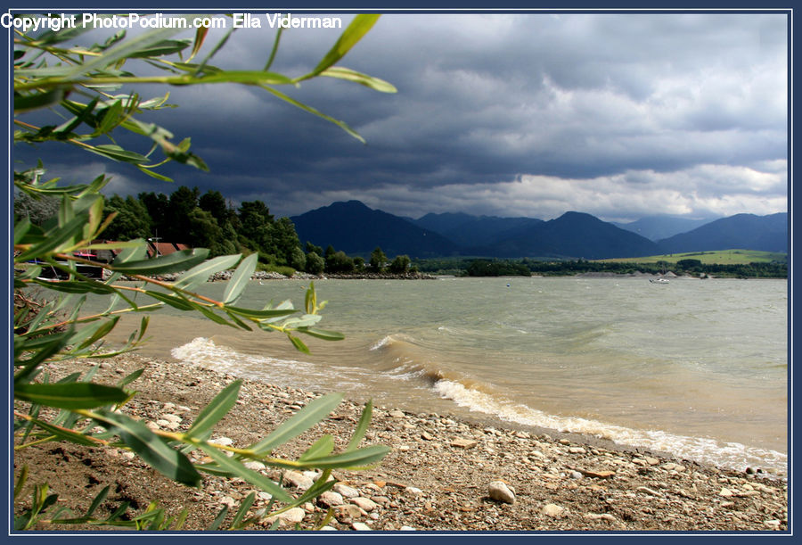 Beach, Coast, Outdoors, Sea, Water, Hotel, Resort