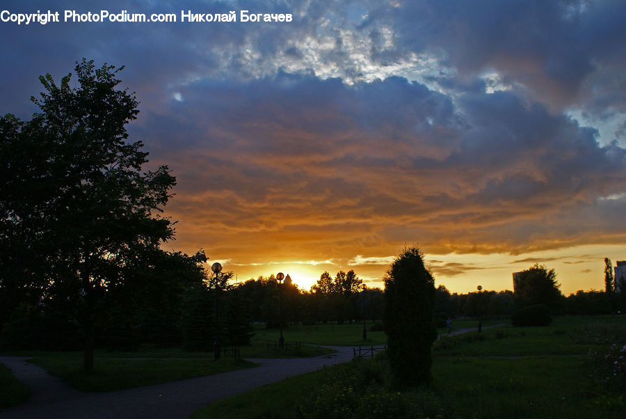 People, Person, Human, Dawn, Dusk, Red Sky, Sky