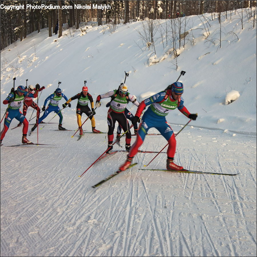 Piste, Skiing, Slide, Snow, Sport, People, Person