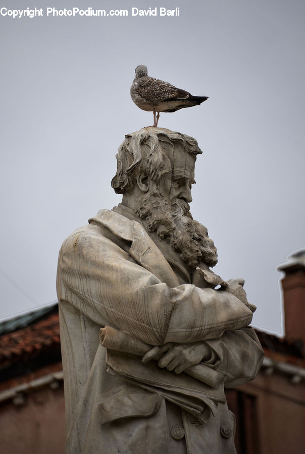 People, Person, Human, Bird, Seagull, Art, Sculpture