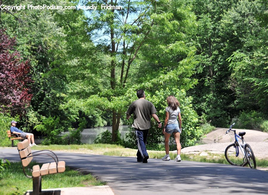Human, People, Person, Bench, Back, Bicycle, Bike