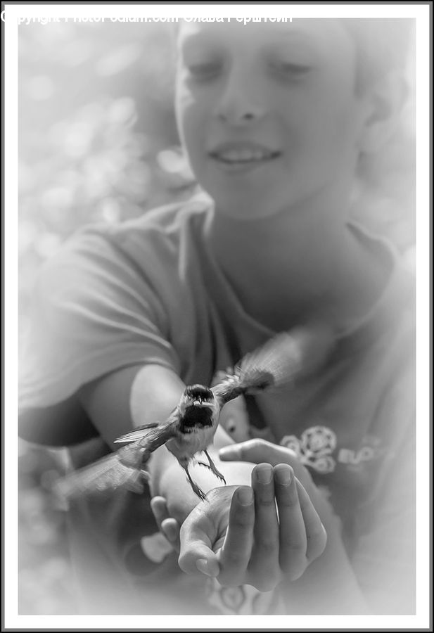 People, Person, Human, Bird, Sparrow, Collage, Poster