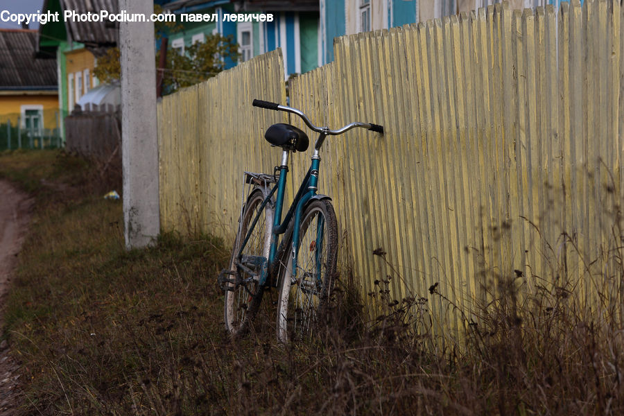 Bicycle, Bike, Vehicle, Plant, Potted Plant, Yard, Backyard