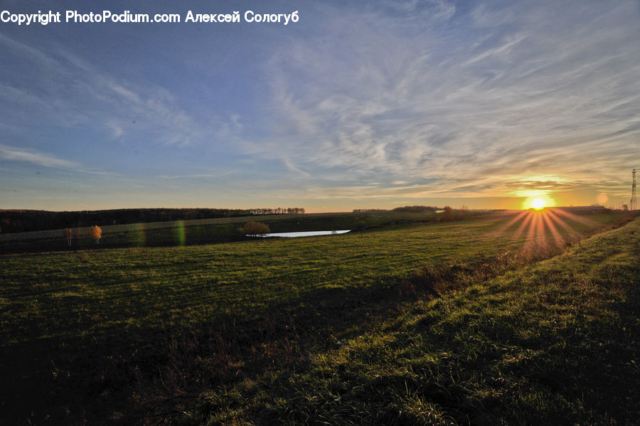 Field, Grass, Grassland, Land, Outdoors, Plant, Dirt Road
