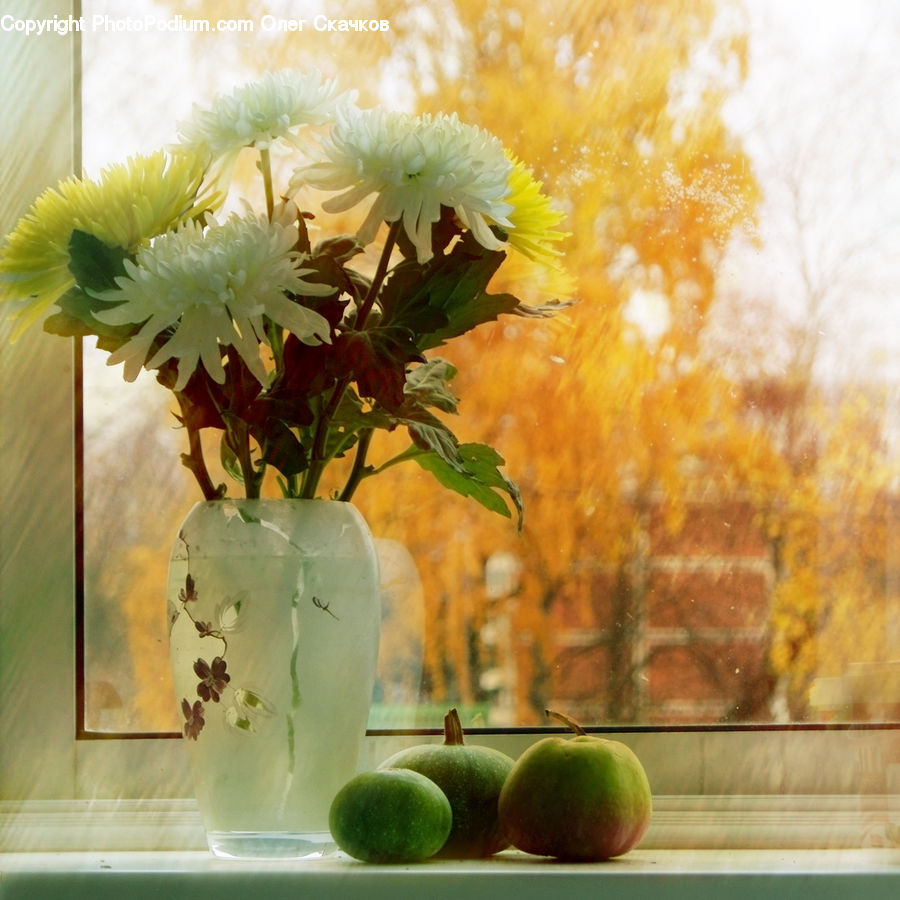 Apple, Fruit, Citrus Fruit, Grapefruit, Plant, Potted Plant, Blossom