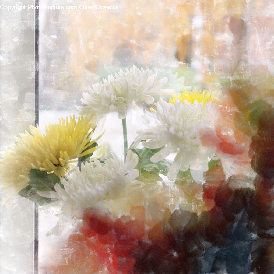Blossom, Flower, Peony, Plant, Art, Modern Art, Daisies