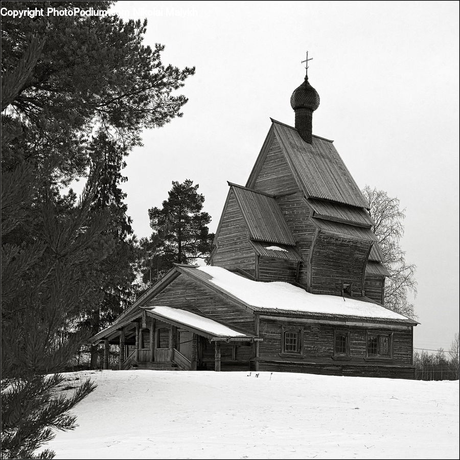 Architecture, Shrine, Temple, Worship, Conifer, Fir, Plant