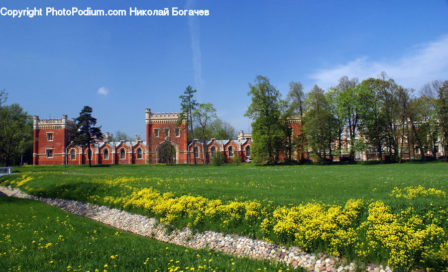 Building, Hacienda, Villa, Field, Grass, Lawn, Grassland