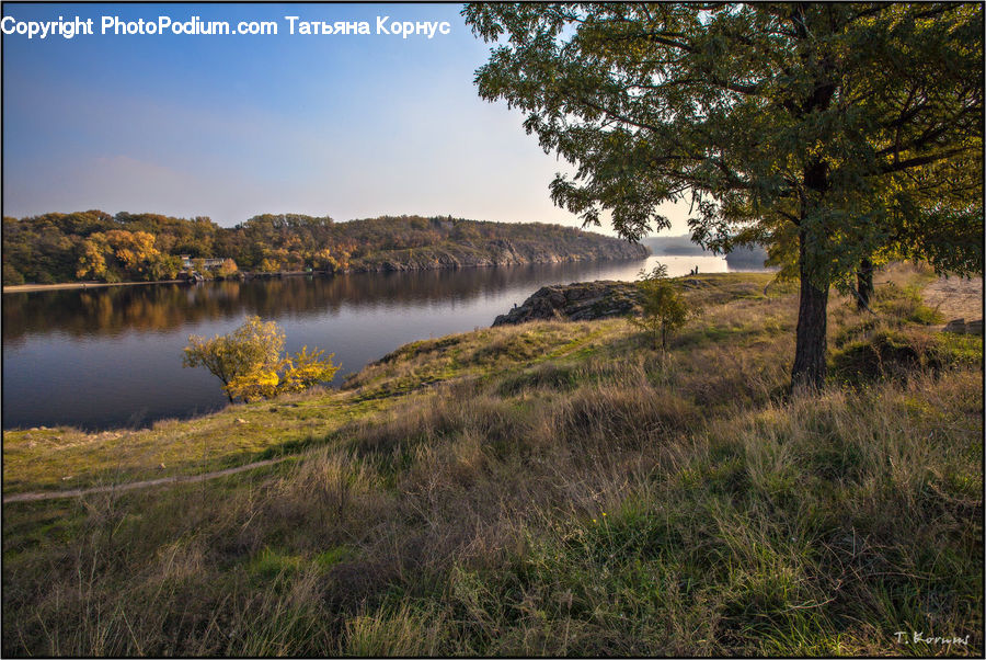 Field, Grass, Grassland, Land, Outdoors, Plant, Lake