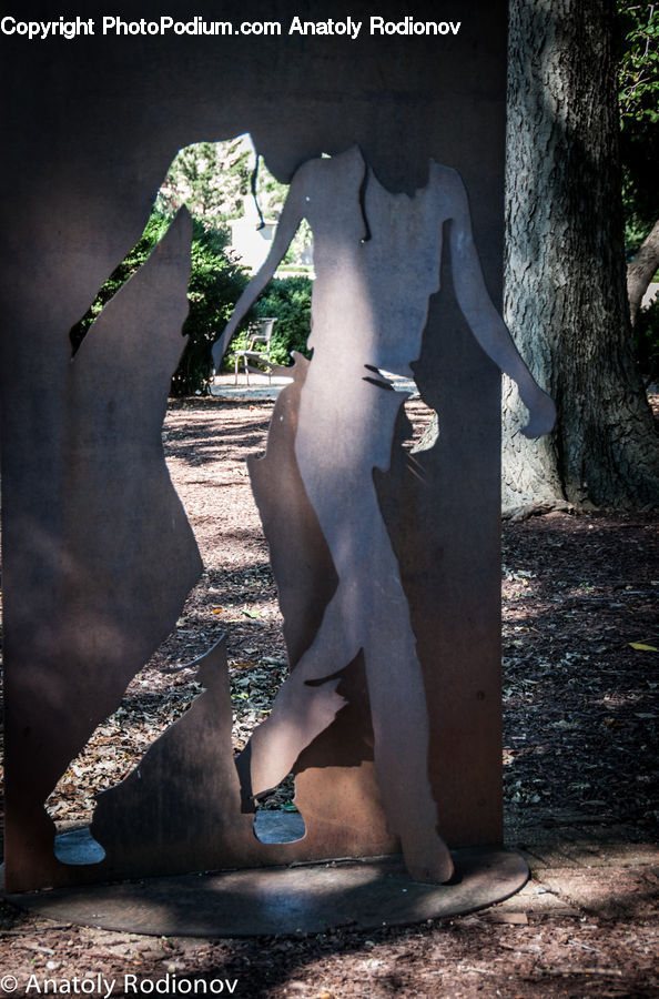People, Person, Human, Plant, Potted Plant, Tree, Oak