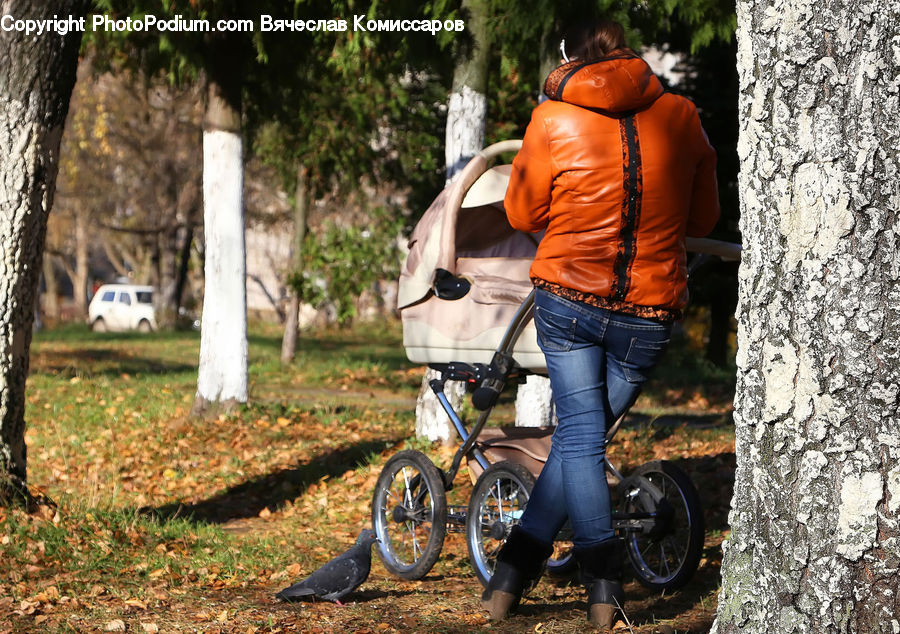 People, Person, Human, Bicycle, Bike, Vehicle, Leisure Activities