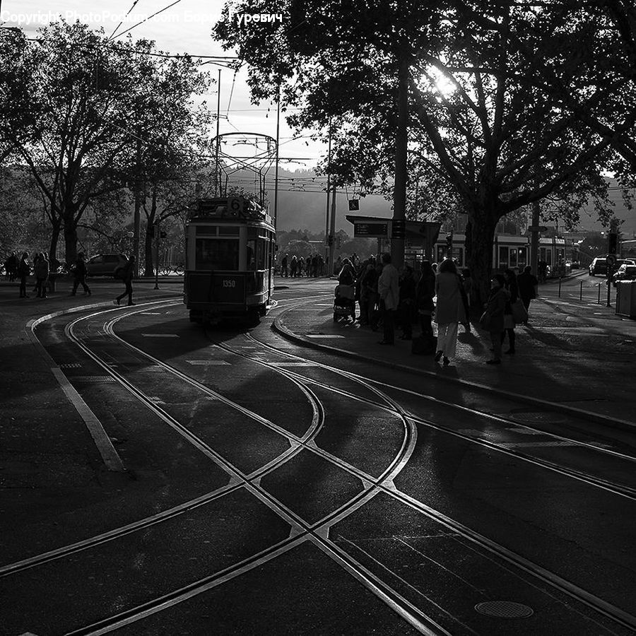 Road, Asphalt, Tarmac, Cable Car, Streetcar, Trolley, Vehicle