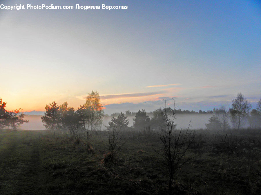 Dawn, Dusk, Sky, Sunrise, Sunset, Fog, Landscape