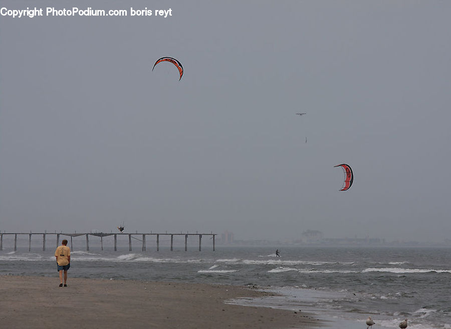 Kite, Adventure, Flight, Gliding