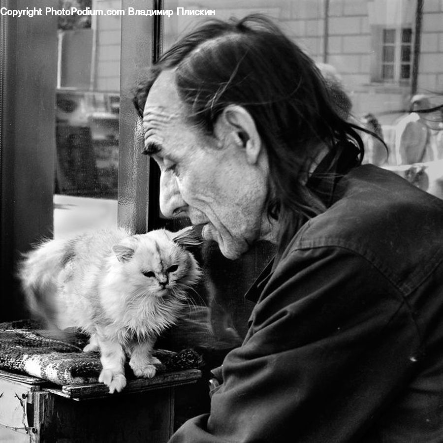 People, Person, Human, Smoke, Animal, Adorable, Portrait