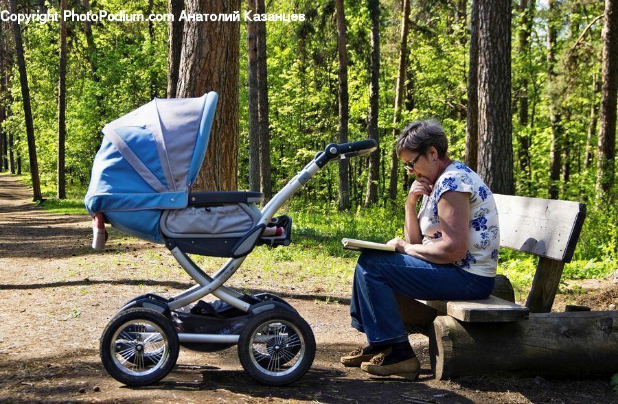 People, Person, Human, Stroller, Forest, Vegetation, Grove
