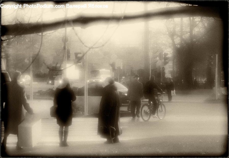 Bicycle, Bike, Cyclist, Fog, Pollution, Smog, Smoke
