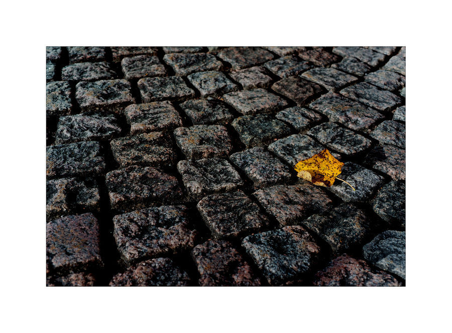 Rock, Ground, Soil, Cobblestone, Pavement, Walkway, Pebble
