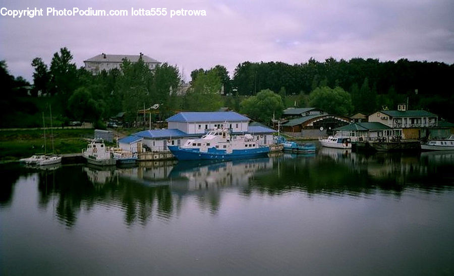 Plant, Potted Plant, Harbor, Port, Waterfront, Dock, Landing