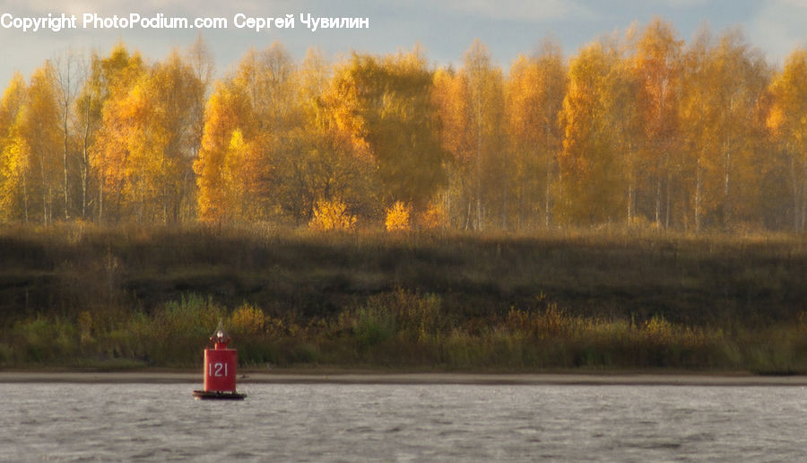 Boat, Canoe, Rowboat, Dinghy, Leisure Activities