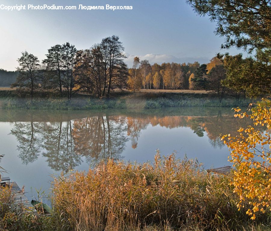Lake, Outdoors, Water, Field, Grass, Grassland, Plant