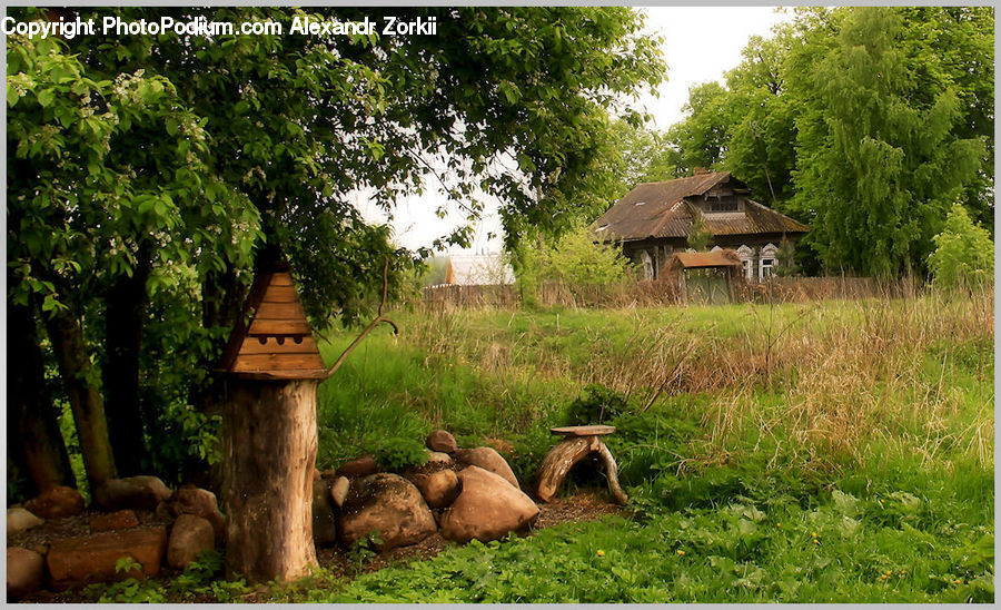 Plant, Potted Plant, Building, Cottage, Housing, Hut, Shelter