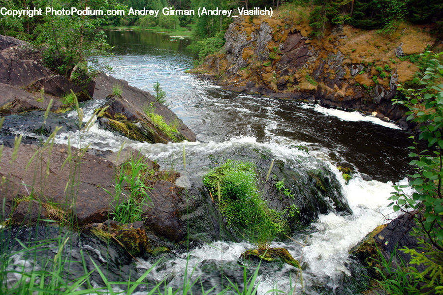 Creek, Outdoors, River, Water, Coast, Sea, Forest