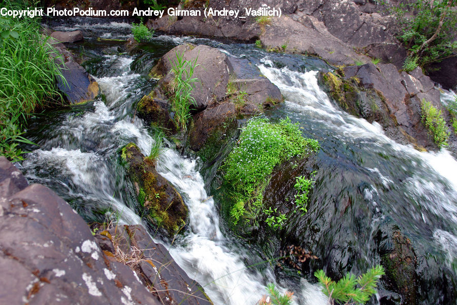 Creek, Outdoors, River, Water, Waterfall, Forest, Jungle