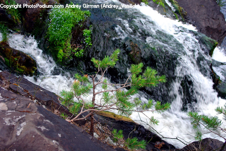 Creek, Outdoors, River, Water, Waterfall, Forest, Jungle