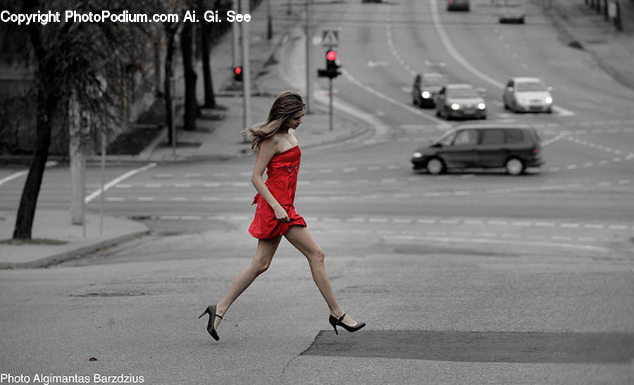 People, Person, Human, Automobile, Car, Vehicle, Freeway