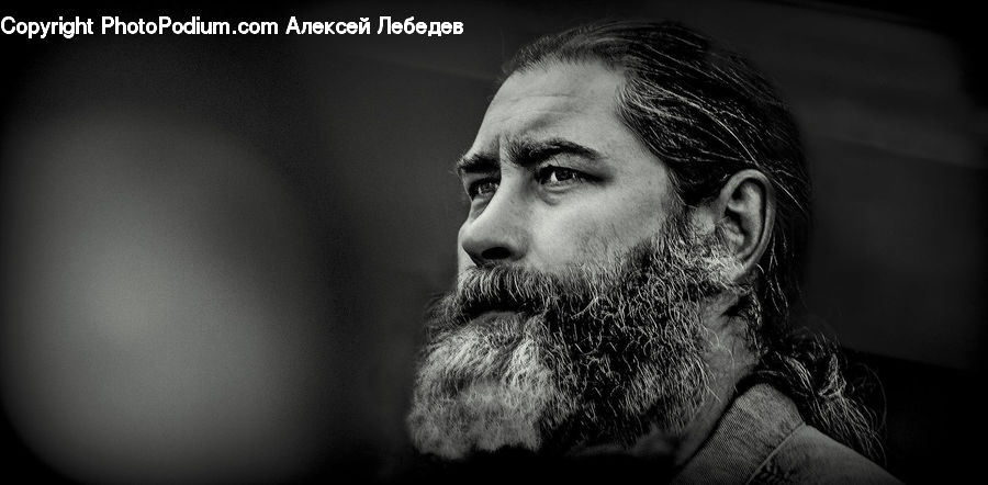 Beard, Hair, People, Person, Human, Portrait