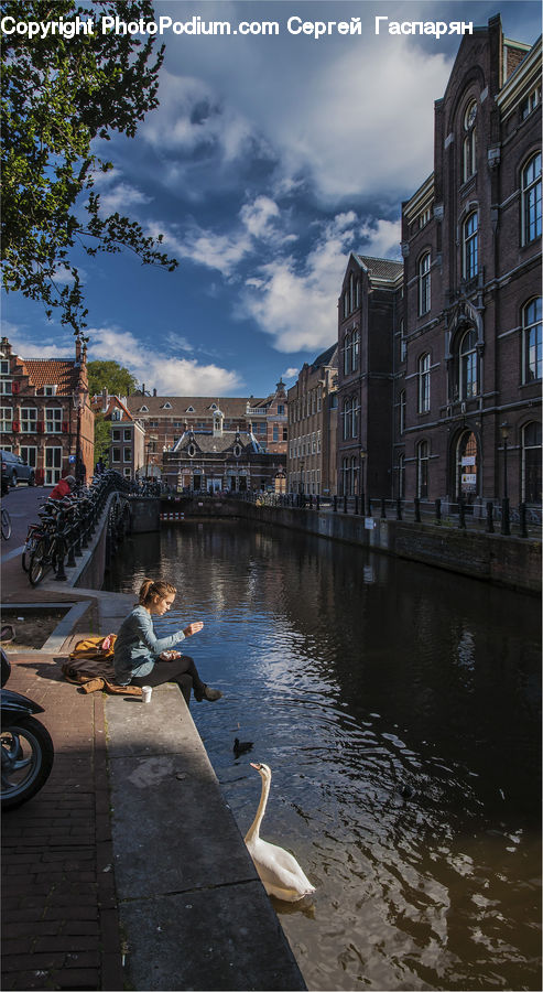 People, Person, Human, Bird, Waterfowl, Canal, Outdoors