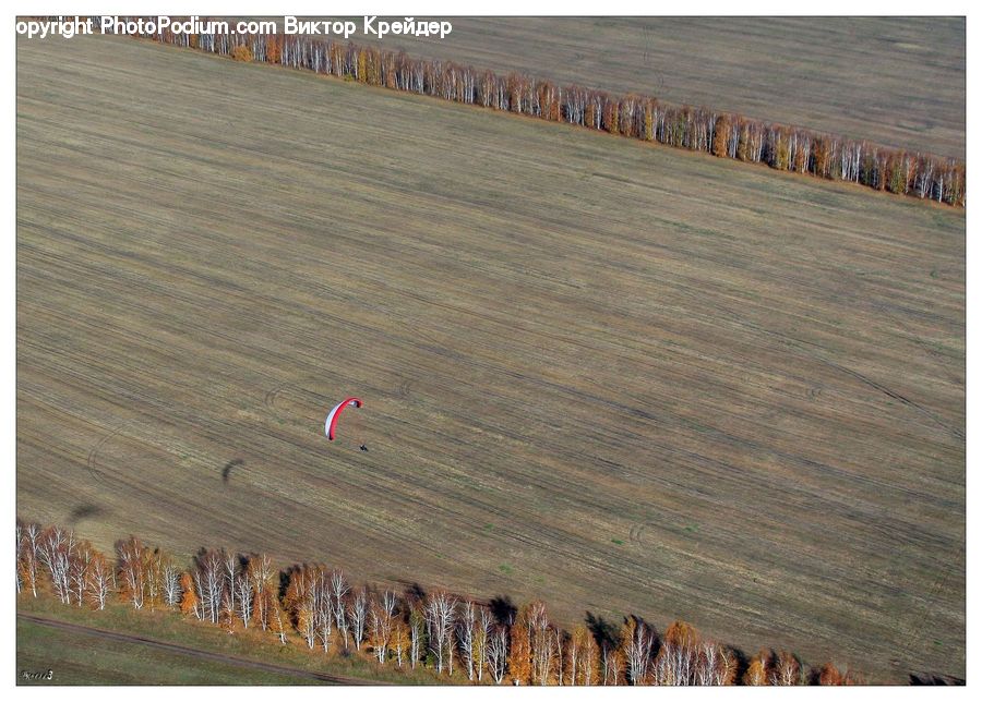 Lumber, Field, Grass, Grassland, Land, Outdoors, Aerial View