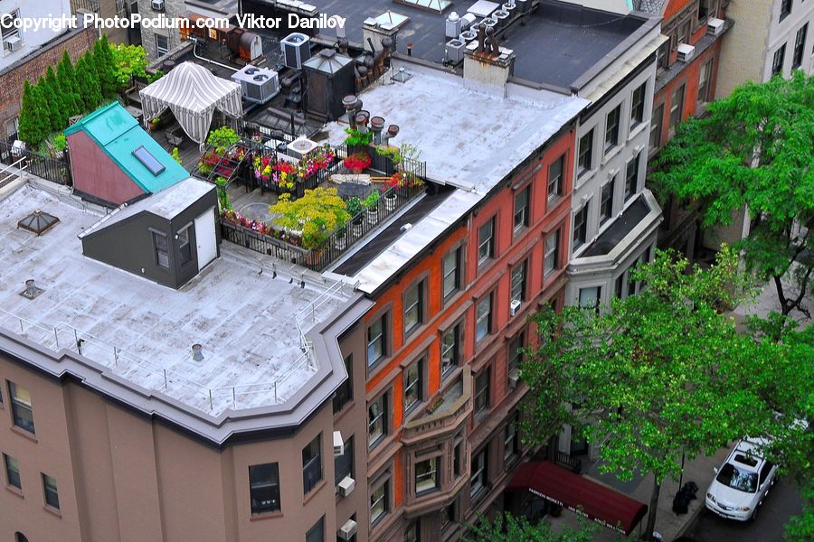 Car, Van, Bush, Plant, Vegetation, Downtown, Neighborhood