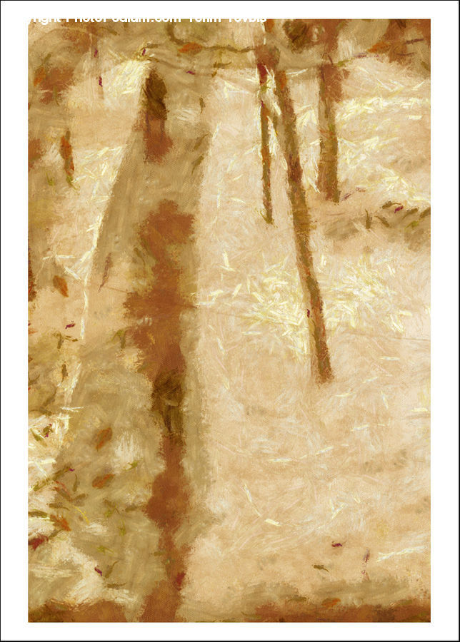 Dirt Road, Gravel, Road