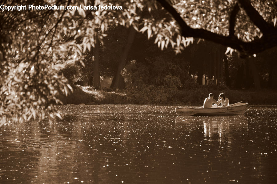 Boat, Rowboat, Vessel, Canoe, Dinghy, Outdoors, River