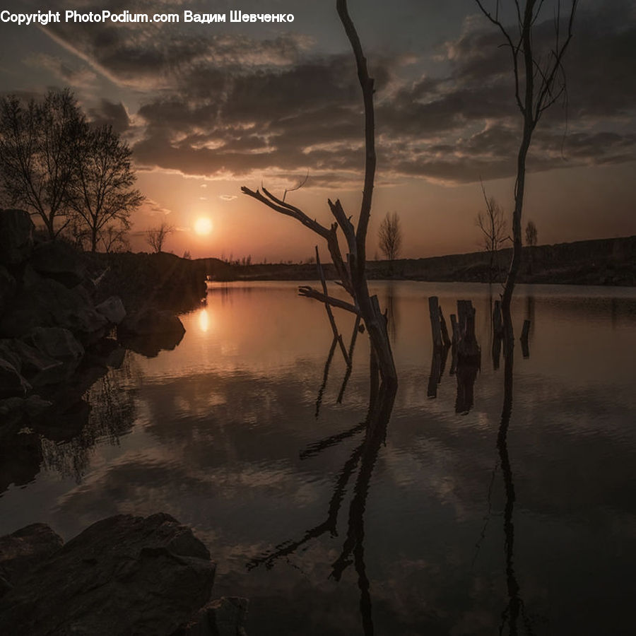 Plant, Tree, Outdoors, Storm, Weather, Flood, Dawn