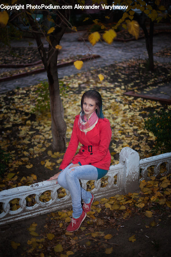 Human, People, Person, Plant, Potted Plant, Tree, Female