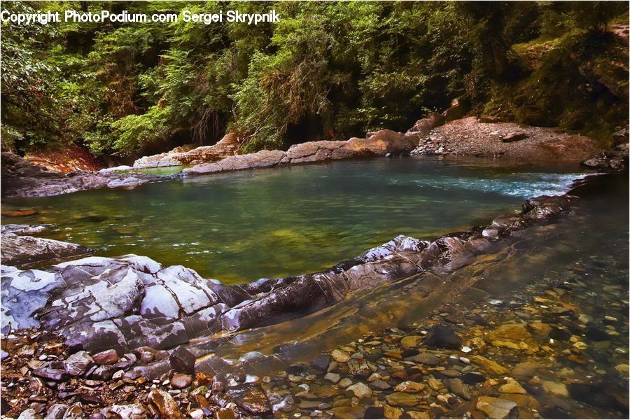 Creek, Outdoors, River, Water, Forest, Vegetation, Rock