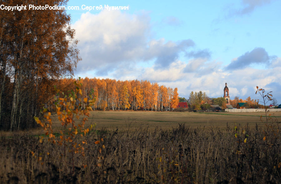 Field, Grass, Grassland, Plant, Architecture, Church, Worship