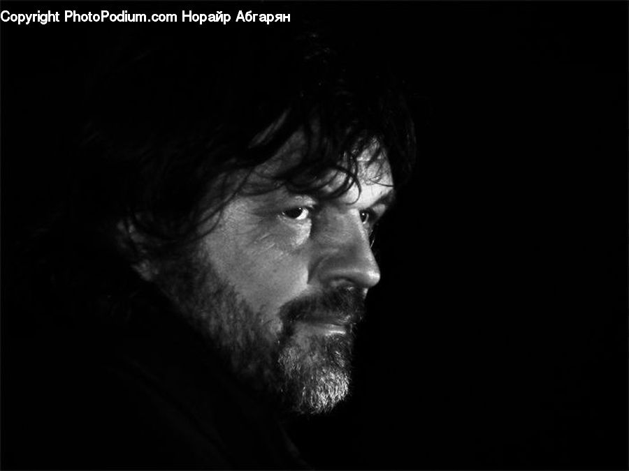 Beard, Hair, Person, Portrait