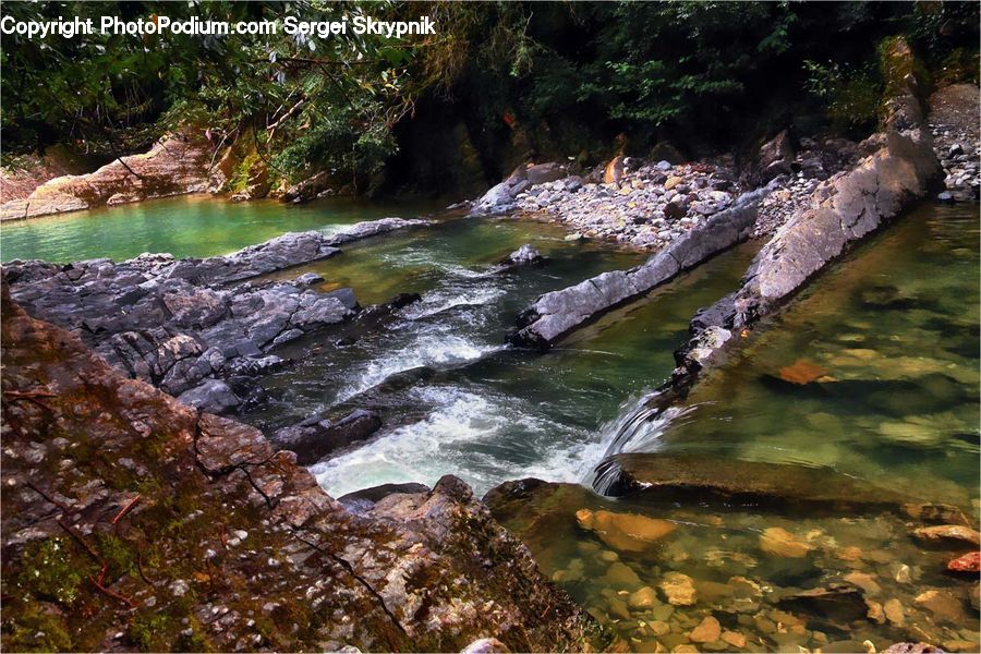 Creek, Outdoors, River, Water, Forest, Jungle, Rainforest