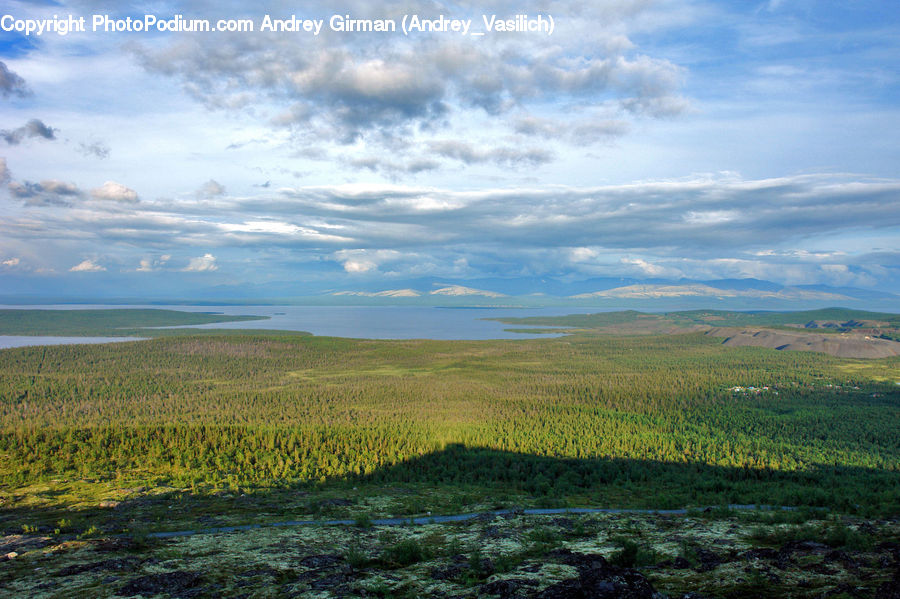 Field, Grass, Grassland, Land, Outdoors, Plateau, Tundra