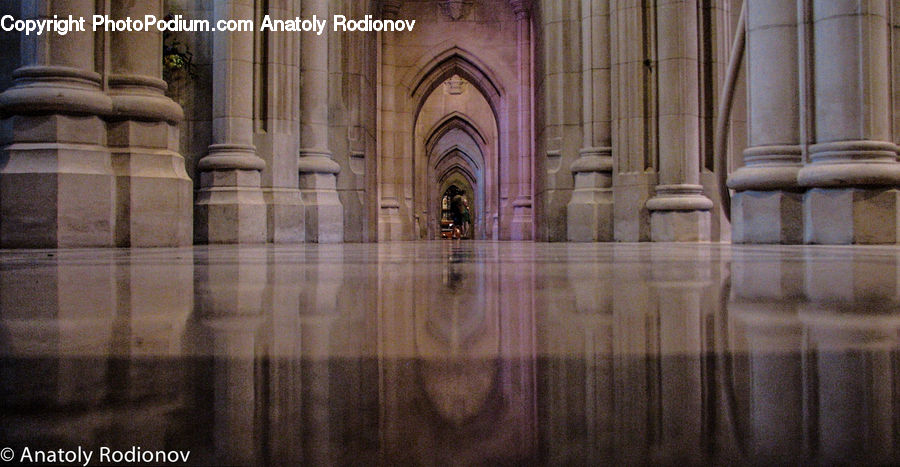 Aisle, Corridor, Column, Pillar, Hardwood, Wood, Crypt