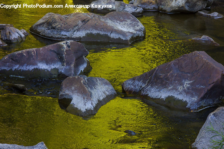Algae, Creek, Outdoors, River, Water, Rock, Field