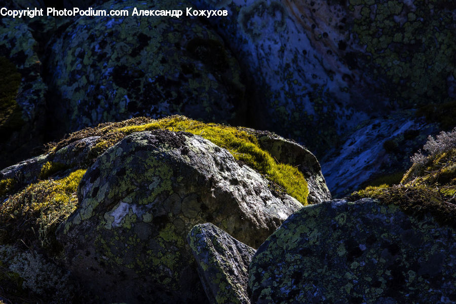 Algae, Crest, Mountain, Outdoors, Peak, Forest, Vegetation