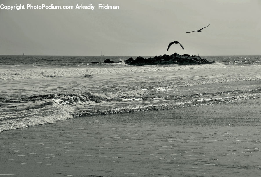 Beach, Coast, Outdoors, Sea, Water, Ocean, Sea Waves