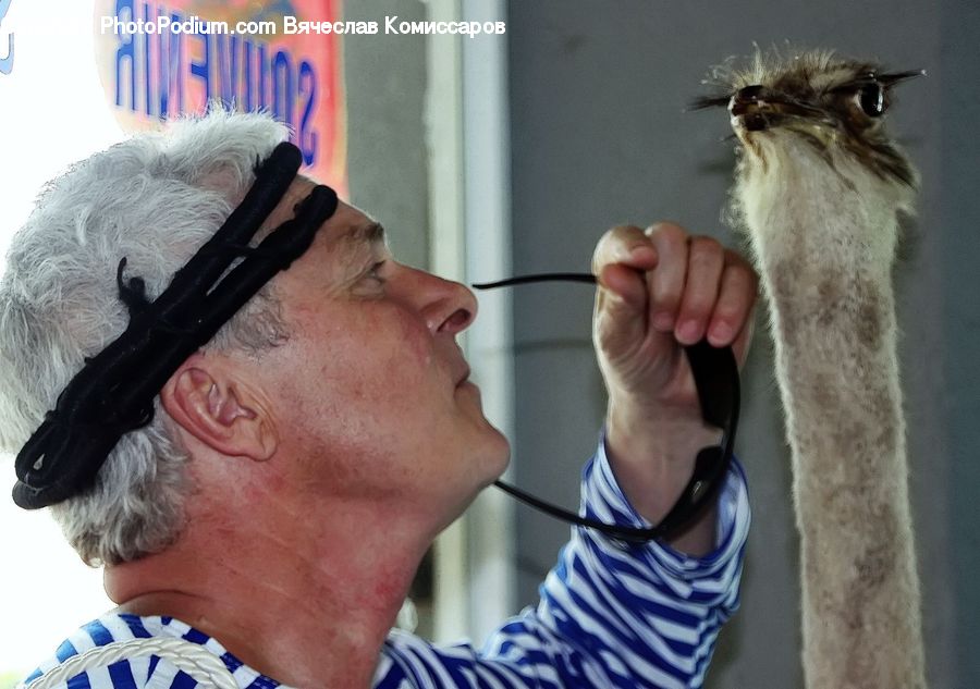 People, Person, Human, Alpaca, Animal, Llama, Mammal