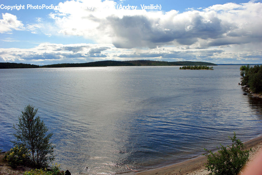 Lake, Outdoors, Water, Conifer, Fir, Plant, Tree