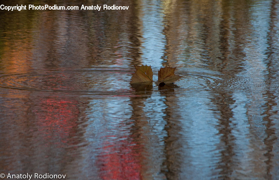 Outdoors, Ripple, Water